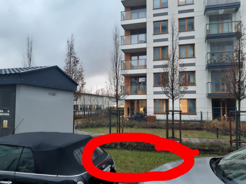 składowanie choinek przy JK48/ Gol1